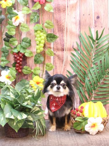 20230827アリューくん